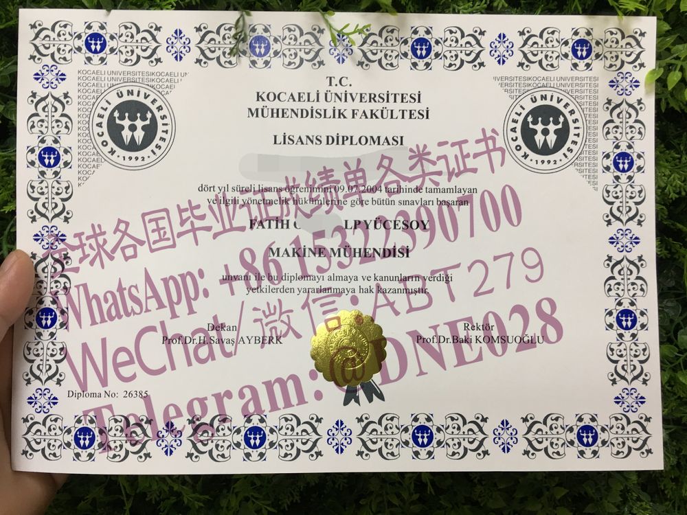购买假土耳其科贾埃利毕业证多少钱