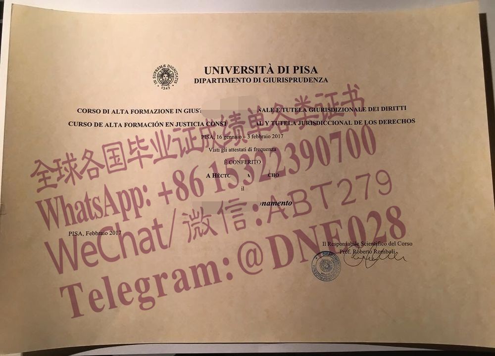 购买假意大利比萨大学毕业证多少钱