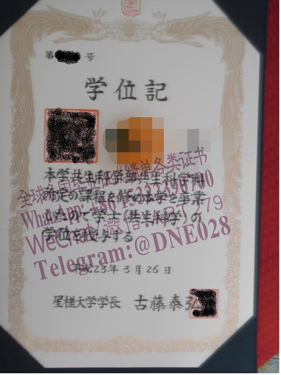 购买假日本星槎大学毕业证多少钱