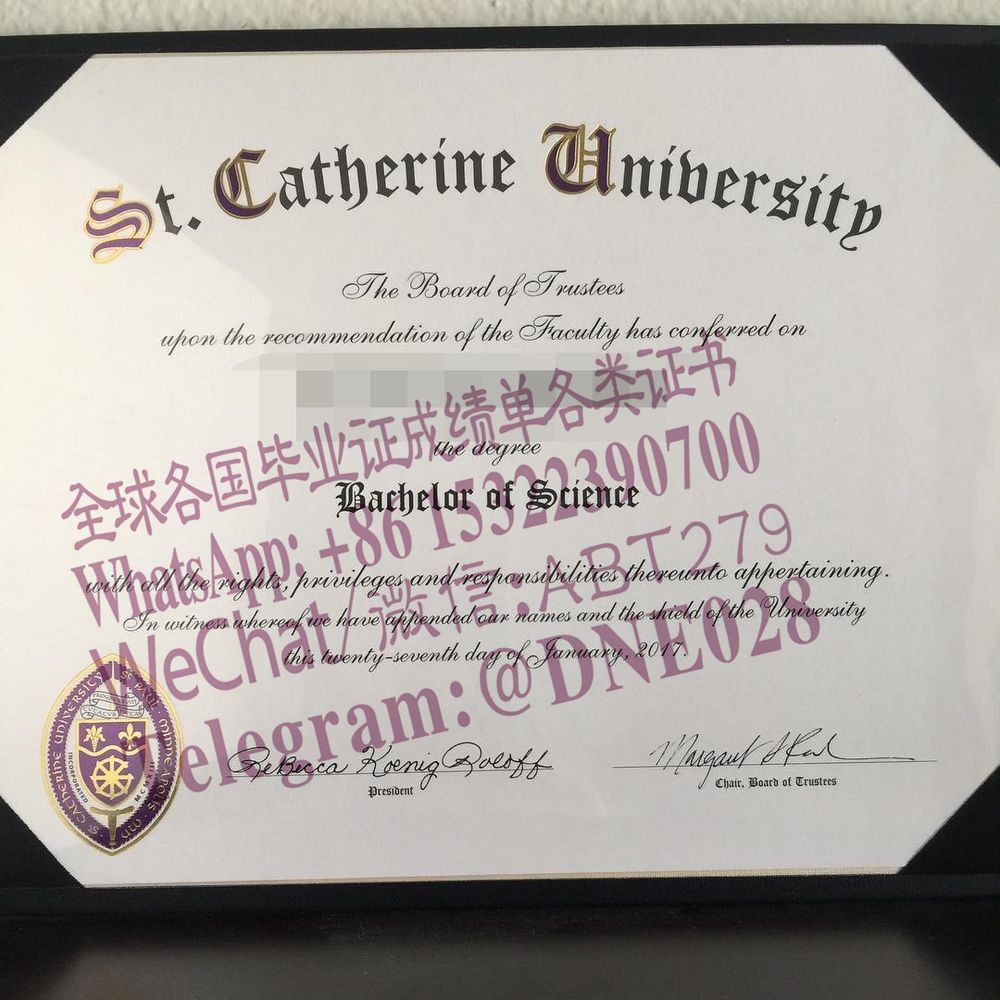 购买假美国圣凯瑟琳大学毕业证多少钱